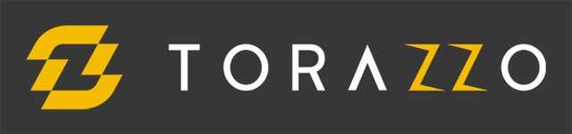 Torazzo.com Logo